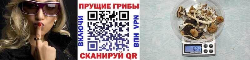 Псилоцибиновые грибы ЛСД Купить закладки Завитинск