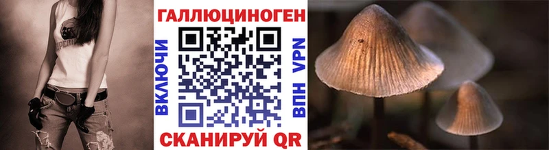 Псилоцибиновые грибы GOLDEN TEACHER Завитинск